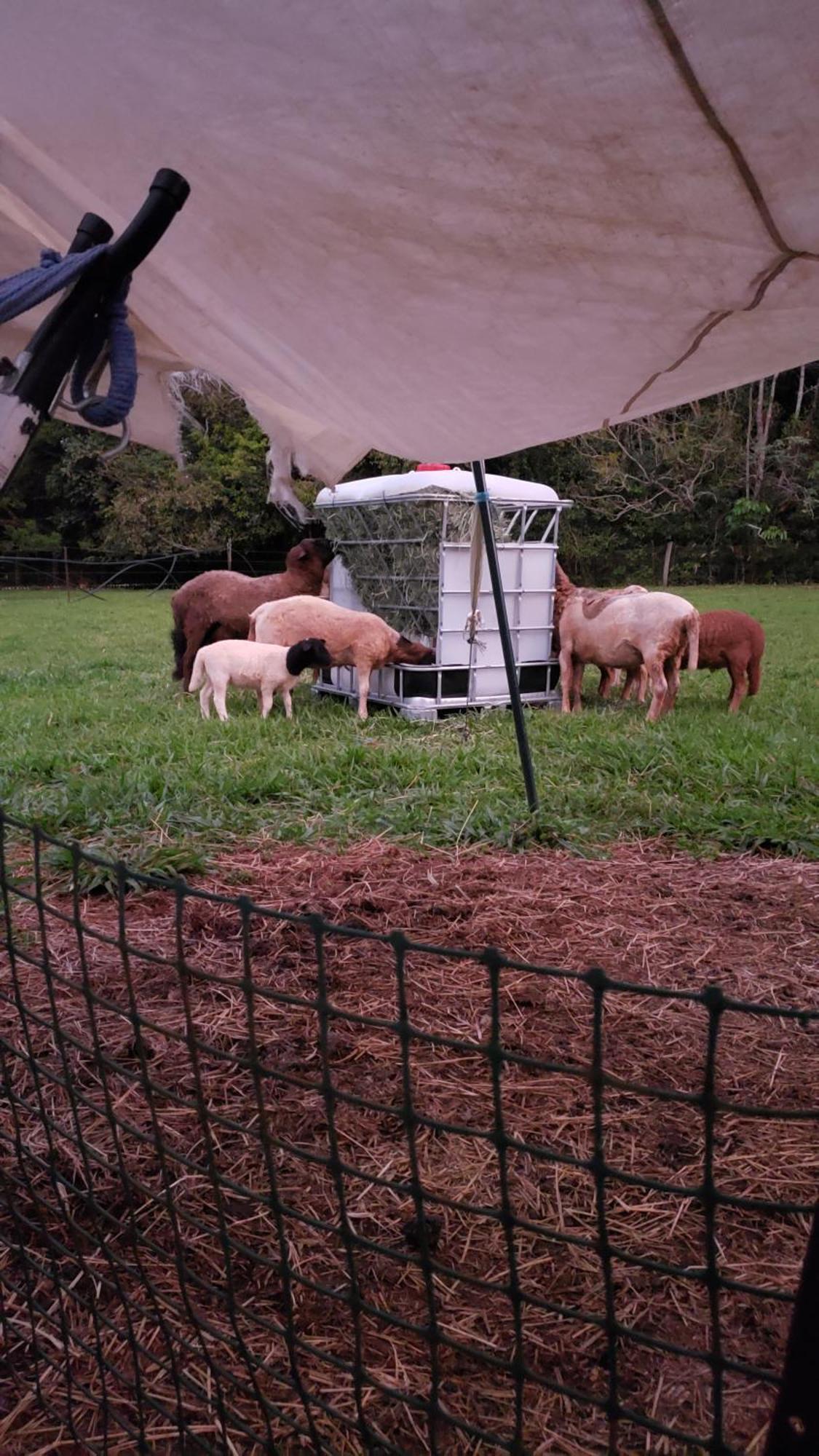 Jaggan Rustic Retreatヴィラ エクステリア 写真